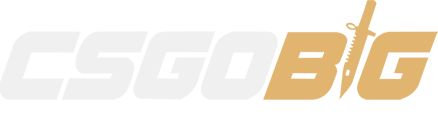 csgobig.com